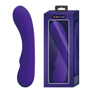 2 WIBRATOR - PRESCOTT Purple 22 vibration functions Memory function